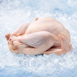 Normal Turkey