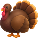 icon-turkey